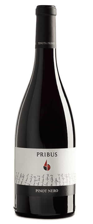 Tenuta Pribus - Pinot Nero